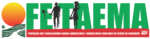 FETAEMA
